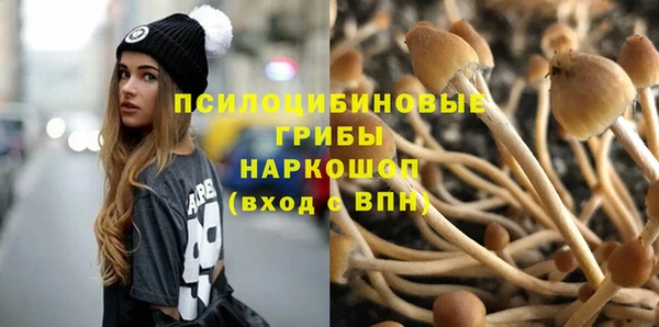 первитин Пестово